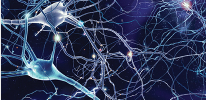 Neurology for Non-Neurologists 2022 August 31 to August 31, 2025