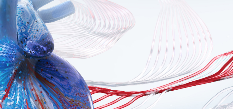 2025 Mayo Interventional Cardiology Online Board Review 2025 Mayo Interventional Cardiology Online Board Review