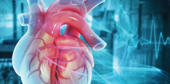 The Brigham Board Review and Comprehensive Update in Cardiology The Brigham Board Review and Comprehensive Update in Cardiology