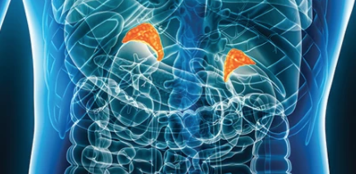 Intensive Review of Endocrinology and Metabolism