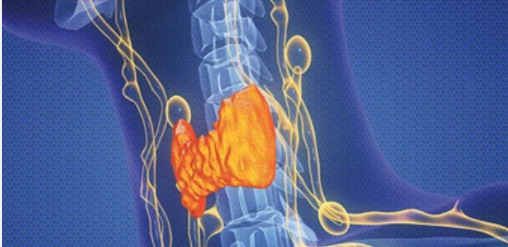 The Brigham Board Review and Comprehensive Update in Endocrinology