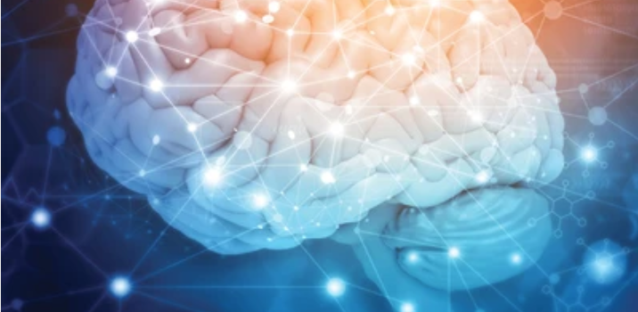 Psychopharmacology for Primary Care Physicians