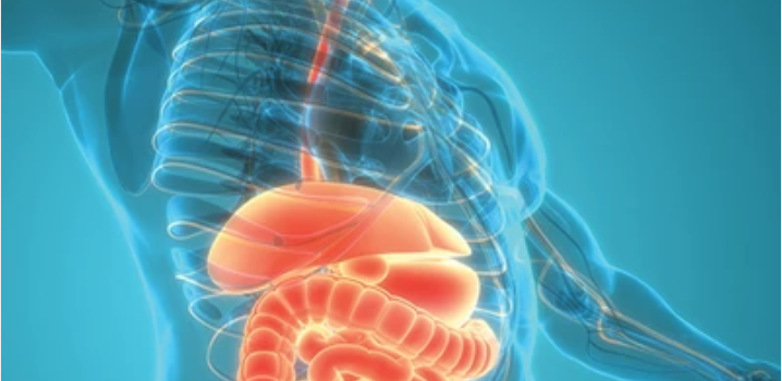 Gastroenterology and Hepatology Board Review