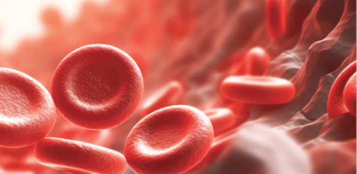 The Brigham and Dana-Farber Board Review and Comprehensive Update in Hematology