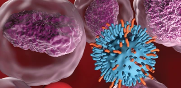 The Brigham and Dana-Farber Board Review and Comprehensive Update in Hematology and Oncology