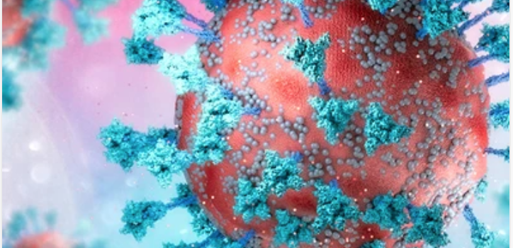 The Brigham Board Review and Comprehensive Update in Infectious Diseases