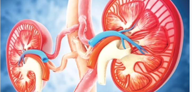 Intensive Review of Nephrology