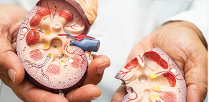 Cleveland Clinic Nephrology Update