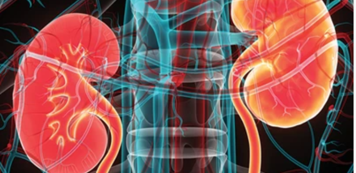 Intensive Review of Nephrology 2024