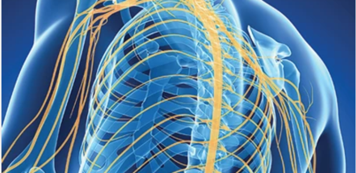 Samuels Comprehensive Review of Neurology