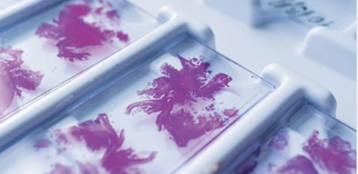 Need-to-Know Pathology: A Review for Physicians in a Hurry