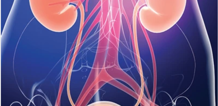 Comprehensive Review of Urology